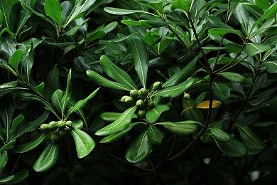 Roguelite元素平台游戏《日先生的帽盒》4月21日发售