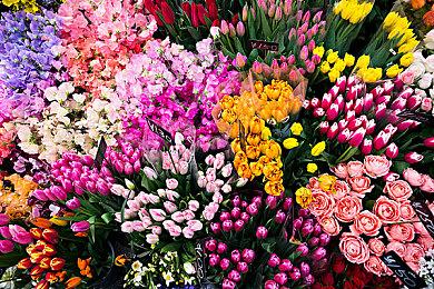 足球模拟游戏《足球明星传奇24》Steam页面上线 支持简中