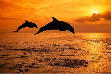 Empress又要出手了 要攻破《生化危机4：重制版》